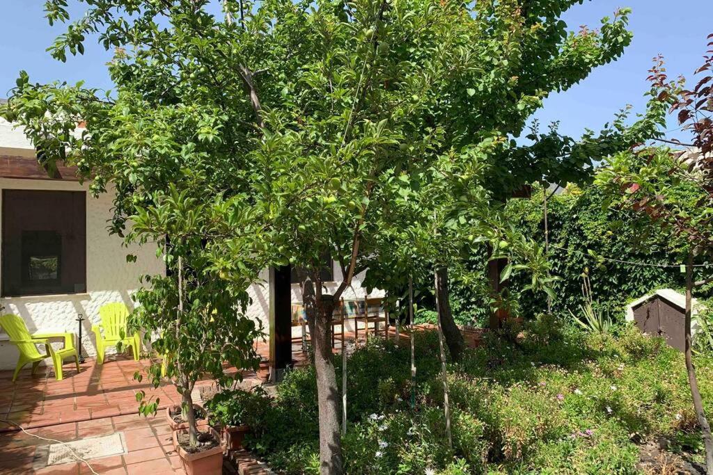 Casa Tranquilla A Pochissimi Passi Dal Mare Villa Sant'Andrea  Exterior foto