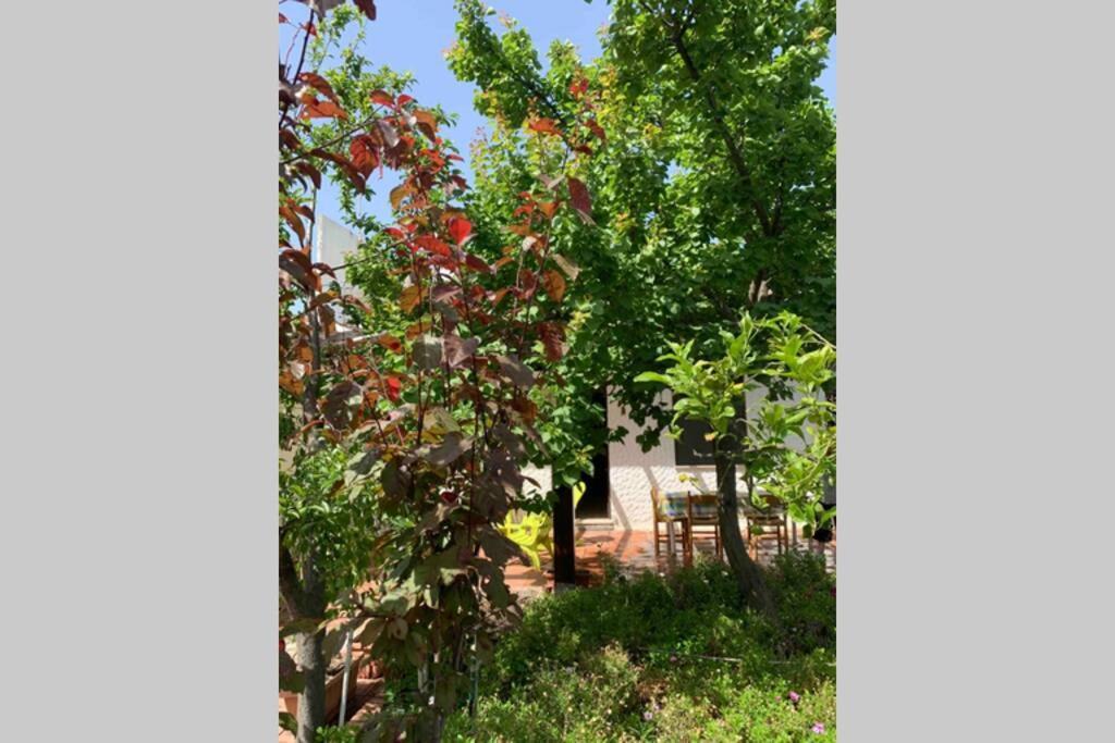 Casa Tranquilla A Pochissimi Passi Dal Mare Villa Sant'Andrea  Exterior foto