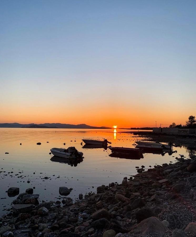 Casa Tranquilla A Pochissimi Passi Dal Mare Villa Sant'Andrea  Exterior foto
