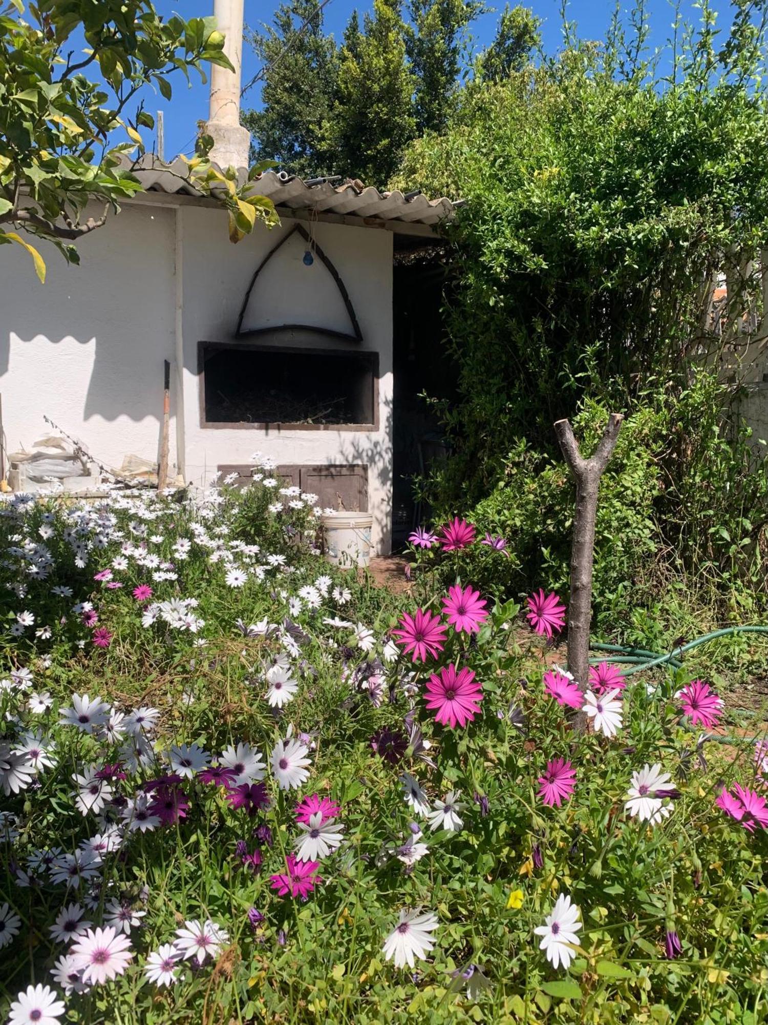 Casa Tranquilla A Pochissimi Passi Dal Mare Villa Sant'Andrea  Exterior foto